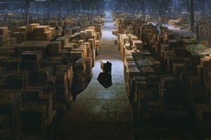 arkwarehouse bubingagate