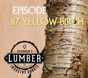 yellow birch lumber