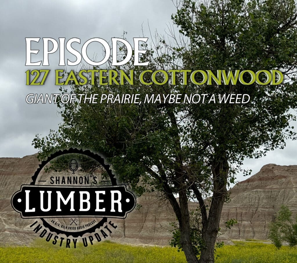 Shannon's Lumber Industry Update
