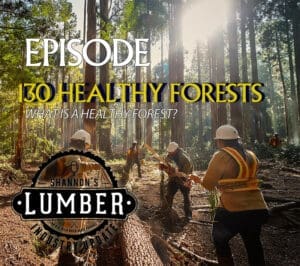 what is a healthy forest