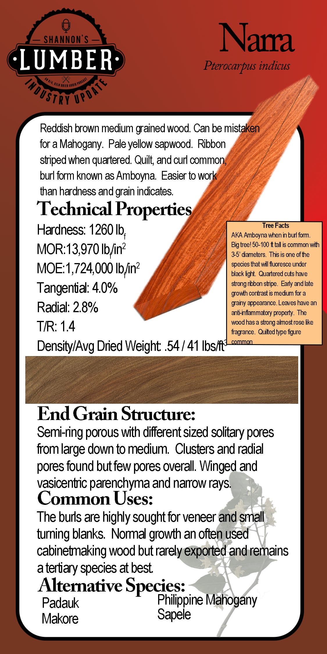 Narra_SpeciesSticker Narra wood