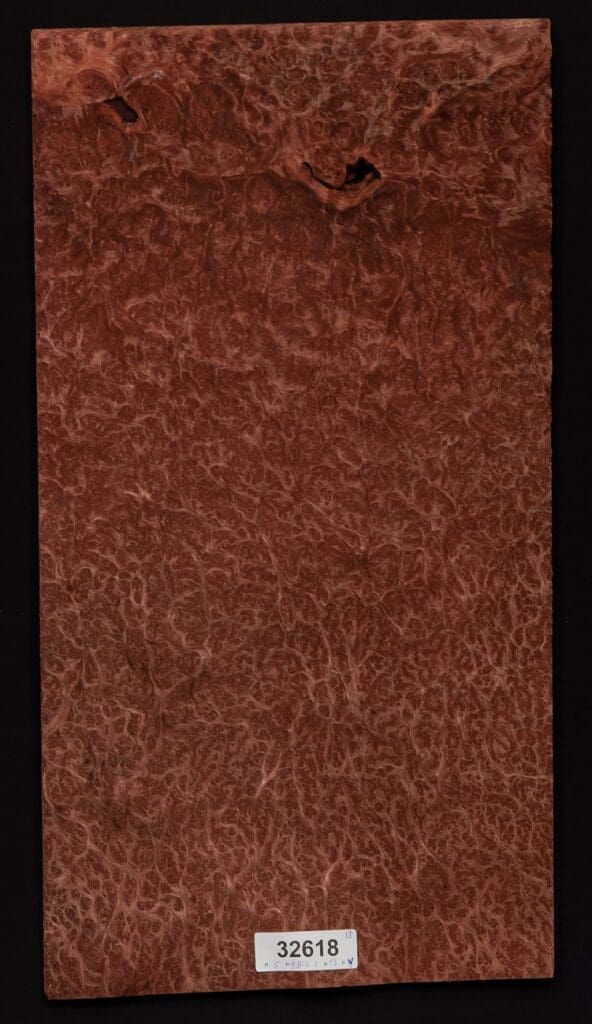 RedwoodBurl Redwood burl