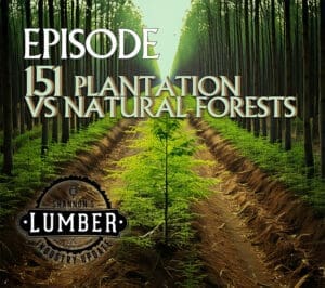 plantation vs natural forests