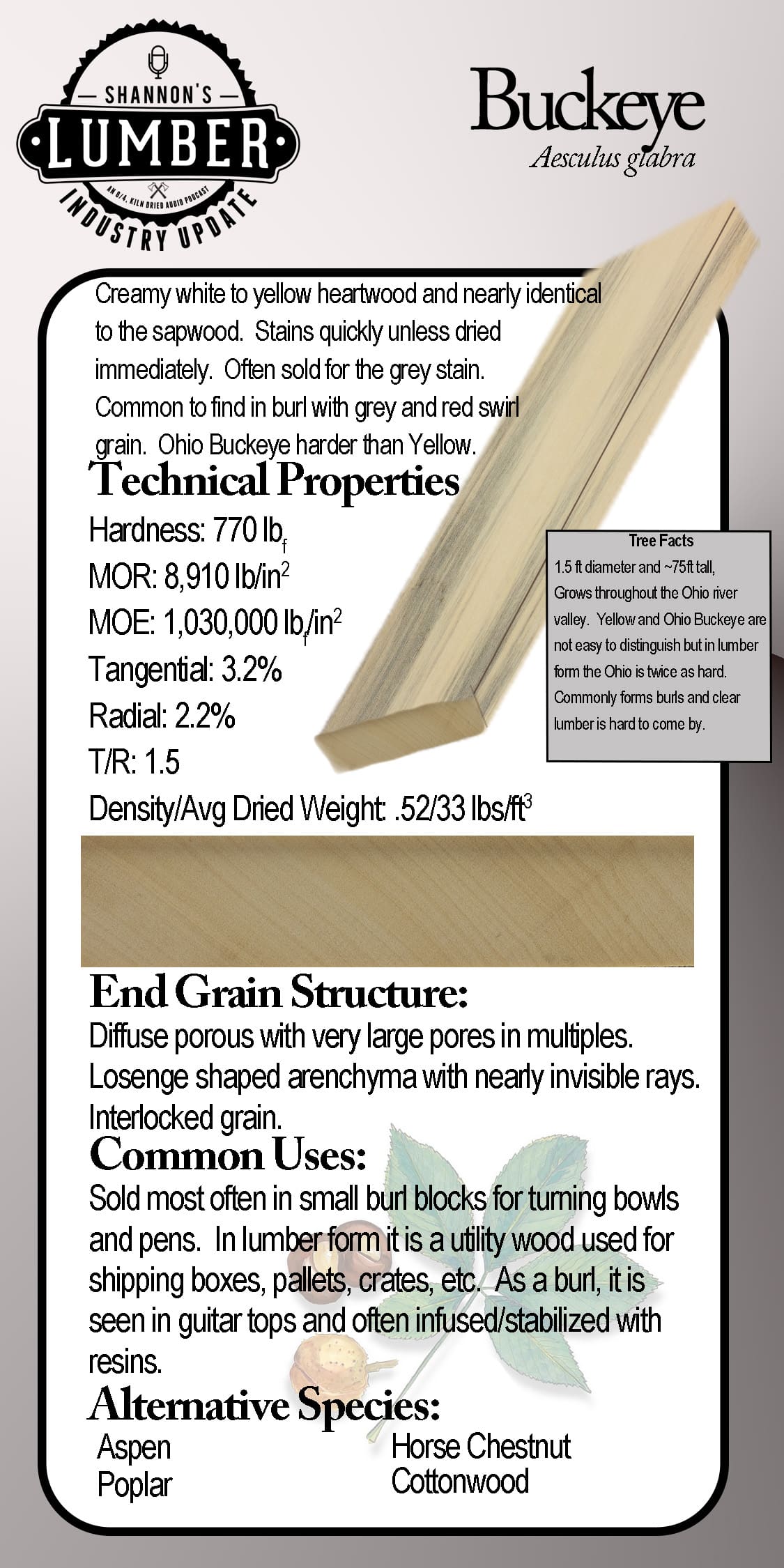 BuckeyeFeaturedSticker buckeye wood