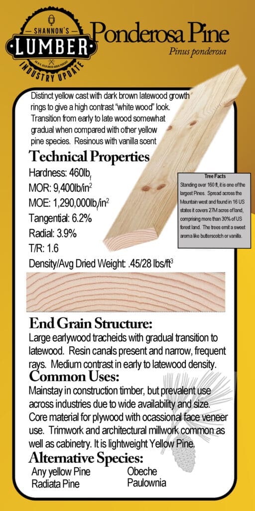 Ponderosa Pine characteristics